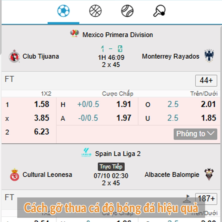 Cách gỡ thua cá độ bóng đá hiệu quả