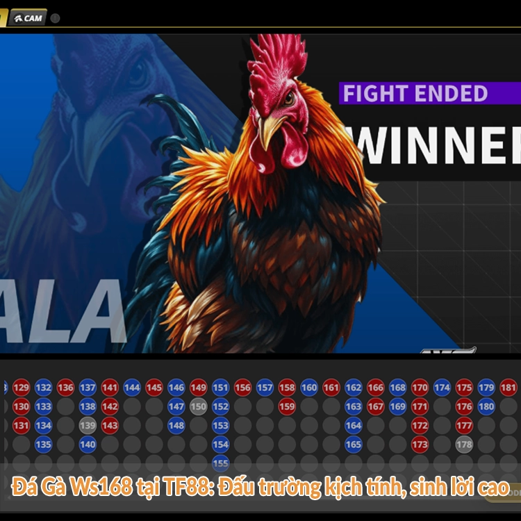 Đá Gà Ws168 tại TF88 Đấu trường kịch tính, sinh lời cao