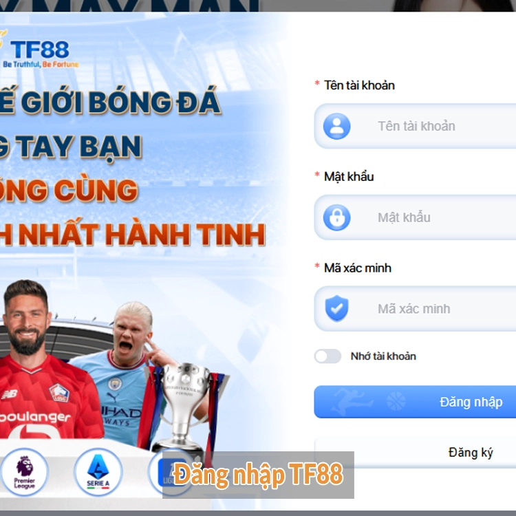 Đăng nhập TF88