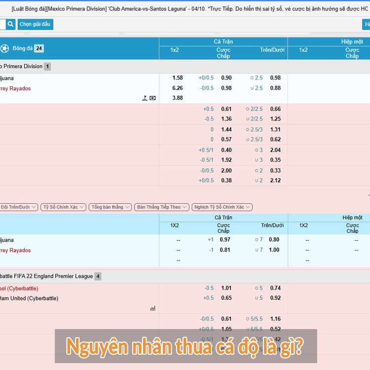 Nguyên nhân thua cá độ là gì?