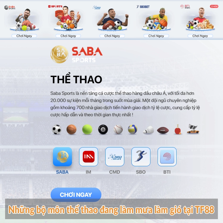 Những bộ môn thể thao đang làm mưa làm gió tại TF88